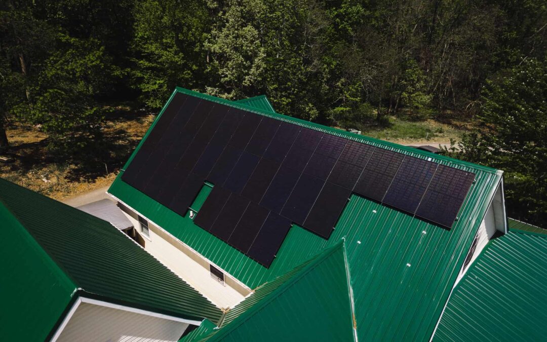 Solar Energy and Wildlife Conservation: Balancing Renewable Energy Development with Biodiversity Protection