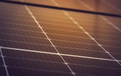Solar Warranty Survival Guide