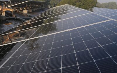 Grid-Tied Solar: The Smart Way to Power Your Home  &hellip;
