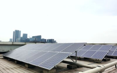 Watts the Deal: A Complete Guide to 335W Solar Pan …